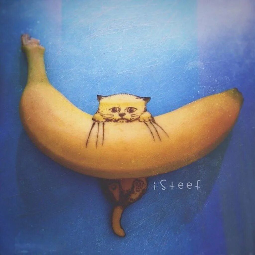 Котенок банан. Банан рисунок. смешной банан. кот и банан арт. кот из банана.