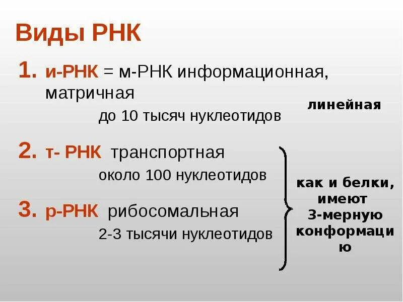 Нуклеиновые кислоты рнк функции. Виды РНК. Виды ДНК И РНК. Форма РНК. Типы РНК И их функции.