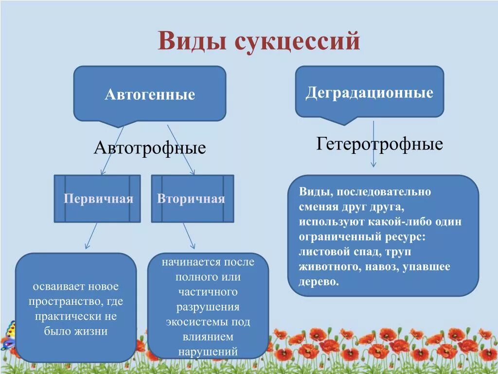 Различия первичной и вторичной сукцессии. Виды сукцессий. Сукцессии первичные и вторичные таблица. Классификация сукцессий схема. Сукцессия типы сукцессии.