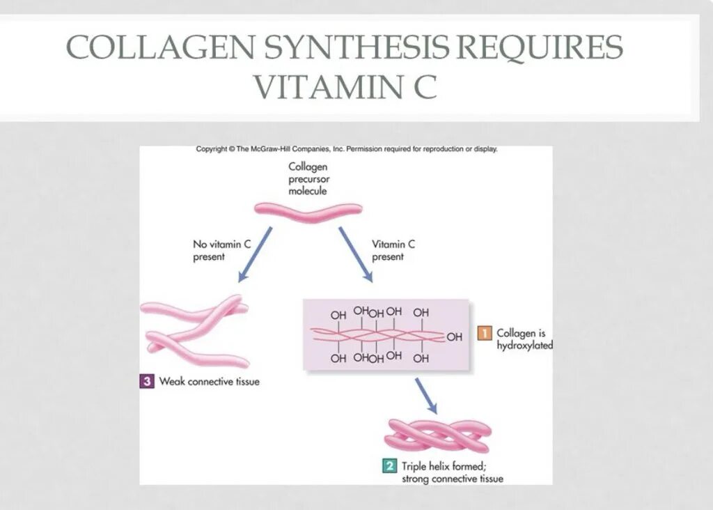 Коллаген вопросы. Synthesis of Collagen. Коллаген Синтез лабораторный. Нития коллаген. Биополимер коллаген формула.