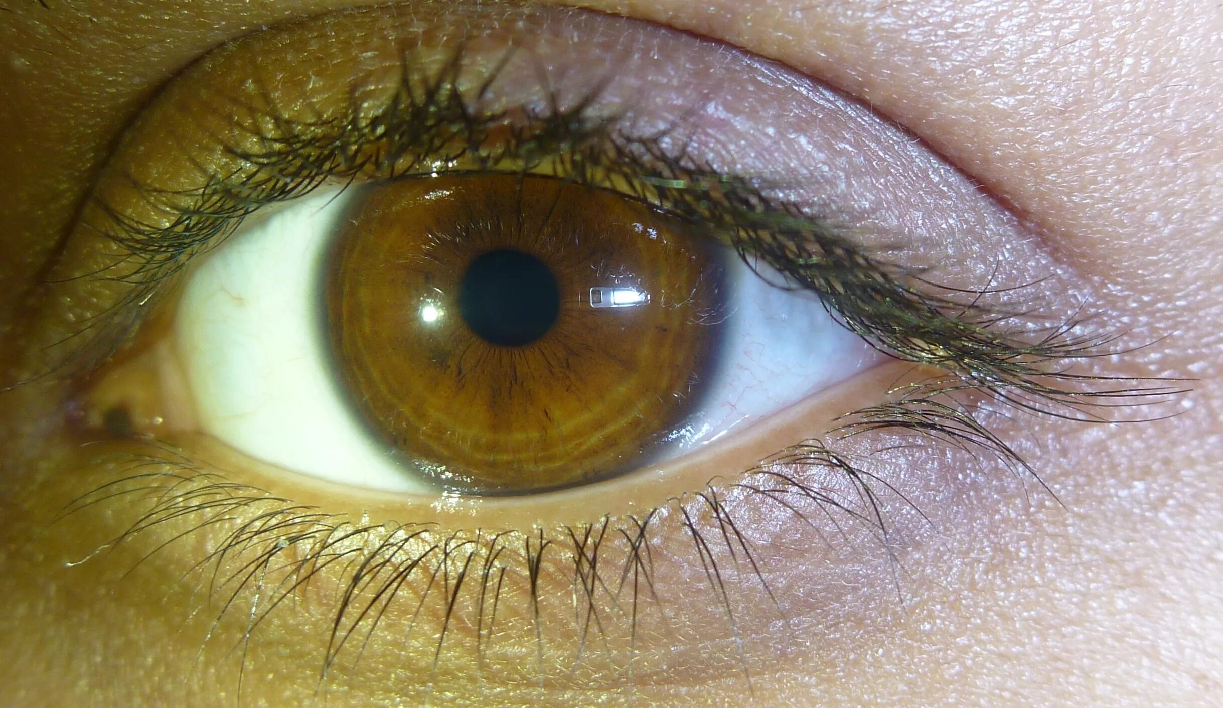 Буро желтые глаза. Хейзел цвет глаз. Hazel цвет глаз. Зелёный Хазел цвет глаз. Оттенок глаз Хейзел карие.