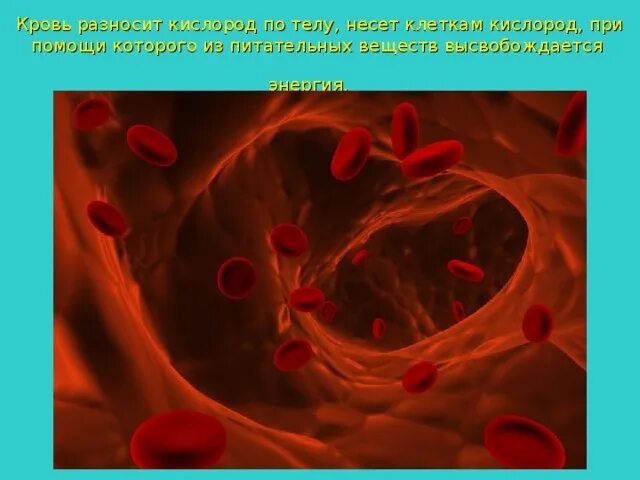 Перенос кислорода эритроцитами. Схема газообмена в легких и тканях. Схема поступления кислорода в организм. Транспорт кислорода к тканям. Насыщение тканей кислородом.