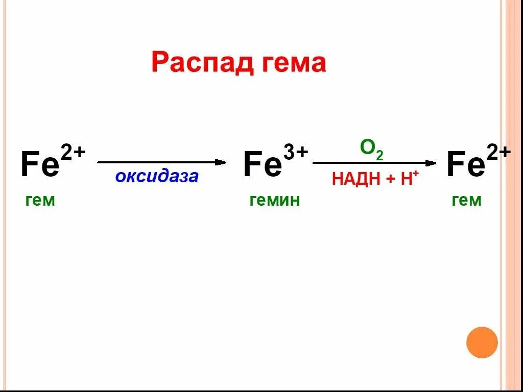 Гем распад гема