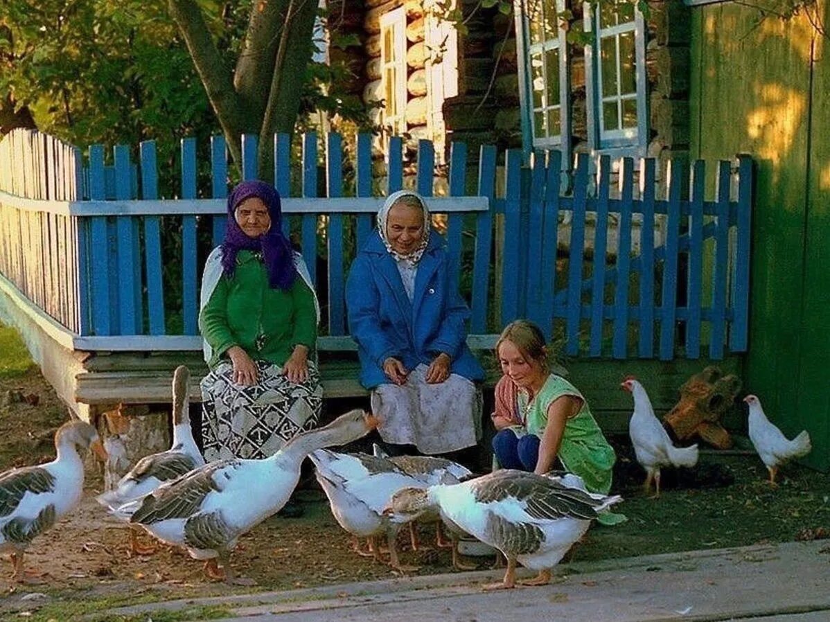 Внук приехал к бабушке в деревню