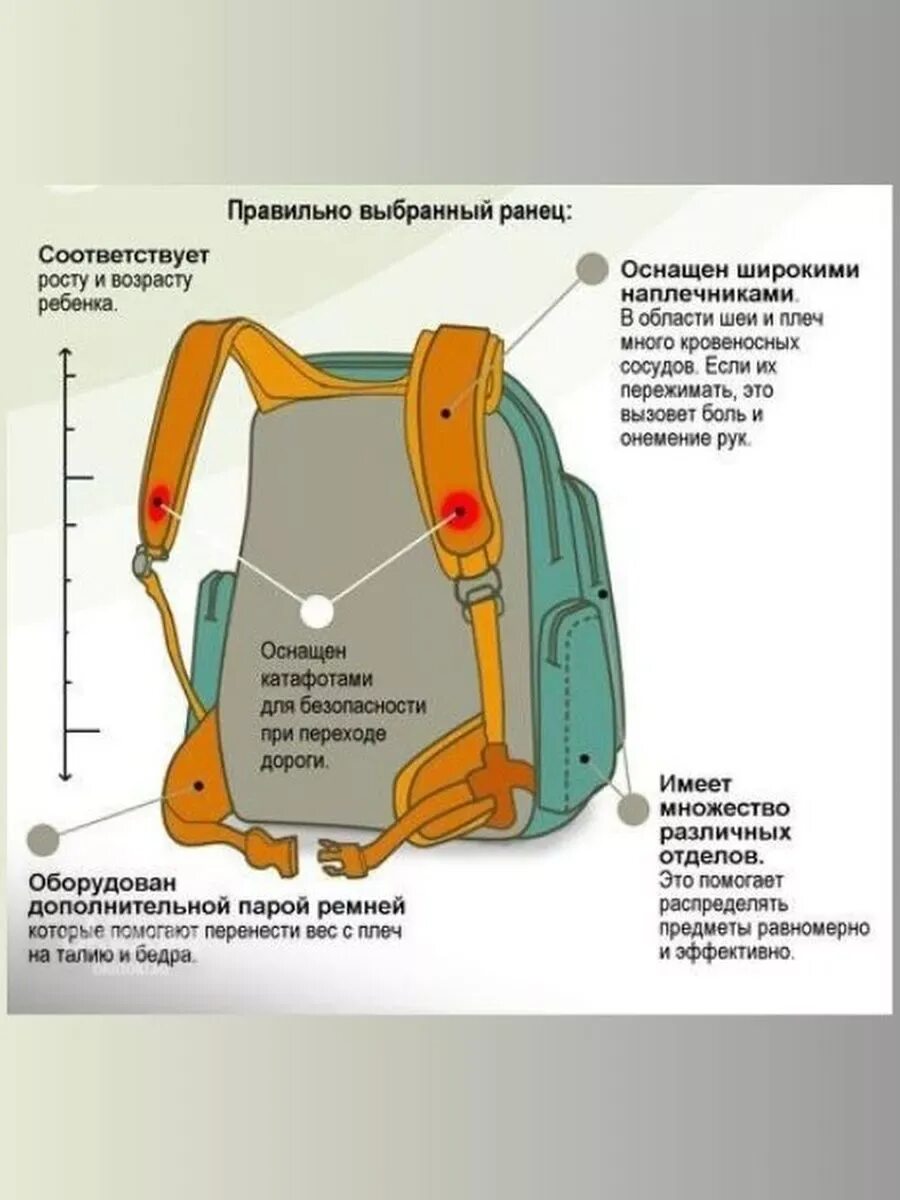 Какой должен быть портфель. Как правильно выбрать ранец для первоклассника. Как правильно выбрать портфель для первоклассника. Правильный рюкзак для первоклассника. Как выбрать рюкзак для первоклассника.