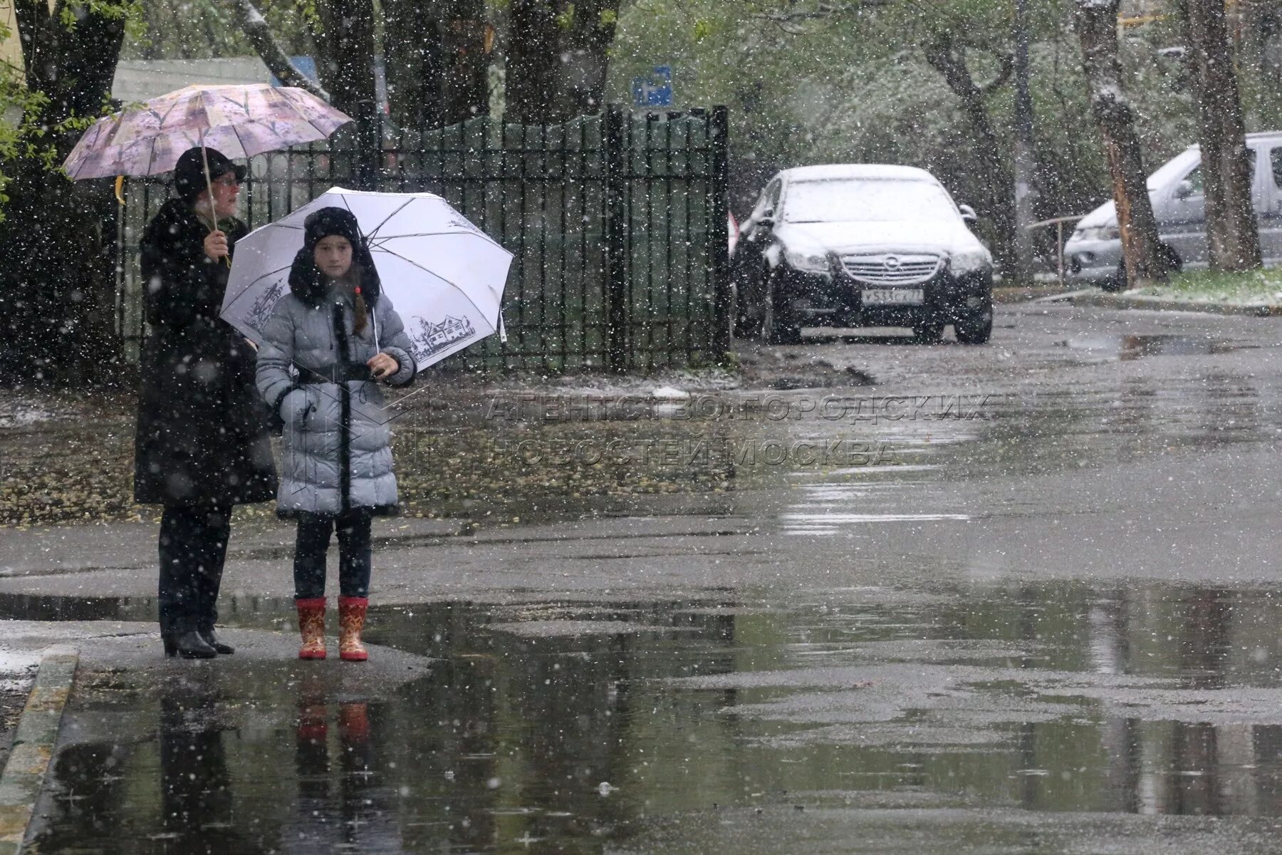 Толстой погода после мокрого. Мокрый снег. Снег в Беларуси. Небольшой снег. Мокрый снег с дождем.