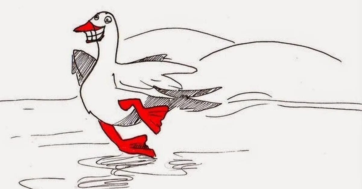 Гусь скользит по льду. Гусь на льду. гусь рисунок. рисунки красивый гусь. гусыня на льду.