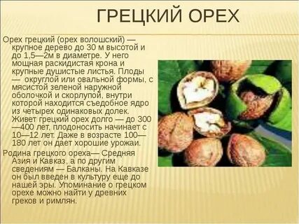Каленые орехи как пишется