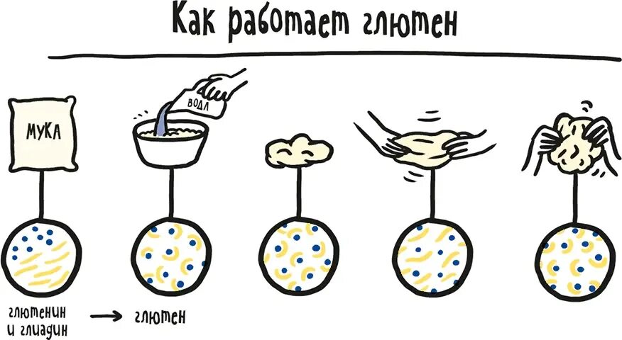 Что значит клейковина. Глиадин и глютенин. глютен формула химическая. глютен структура. клейковина формула.