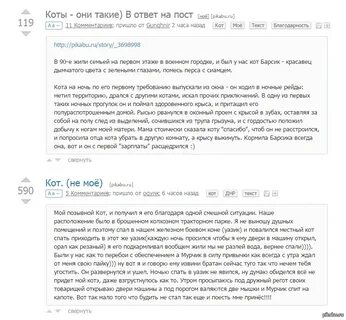 Кот пришел назад