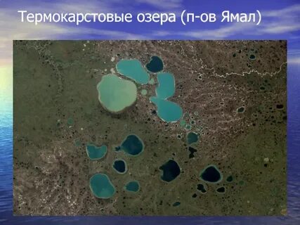 Термокарстовые блюдца