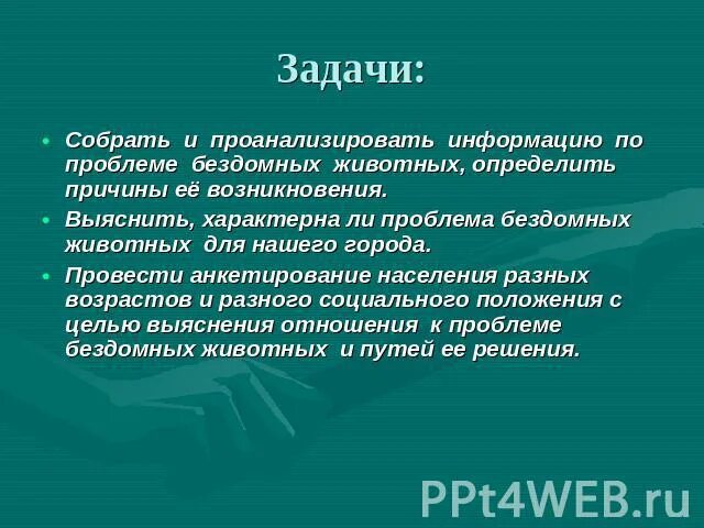 Цель про животных. Задачи бездомных животных. Цель проекта бездомные животные. Задачи проекта бездомные животные. Цель проекта о бездомных животных.