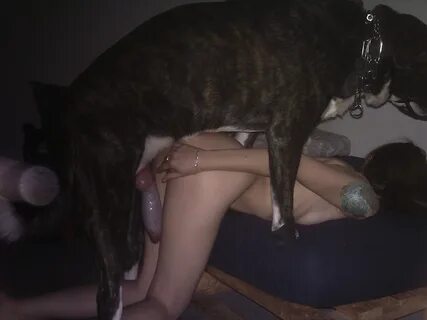 Having sex with dogs movies - sys.dogsuniverse.info