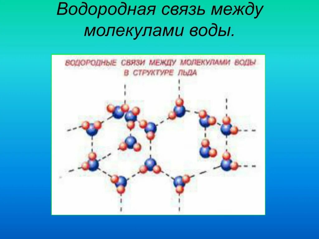 Образует молекулярную воду. Водородная связь между молекулами воды схема. Вещества с водородной связью между молекулами. Водородная связь между молекулами воды. Водородная связь в воде схема.