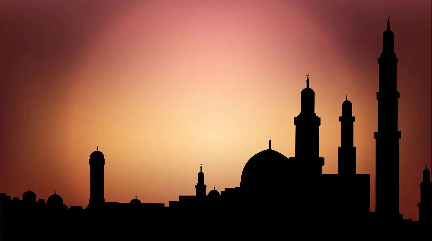 Воины арабского халифата оспрей. Арабское завоевание средней азии. Бедуины арабский халифат. Прием иностранных послов императором византии. Падение халифата.