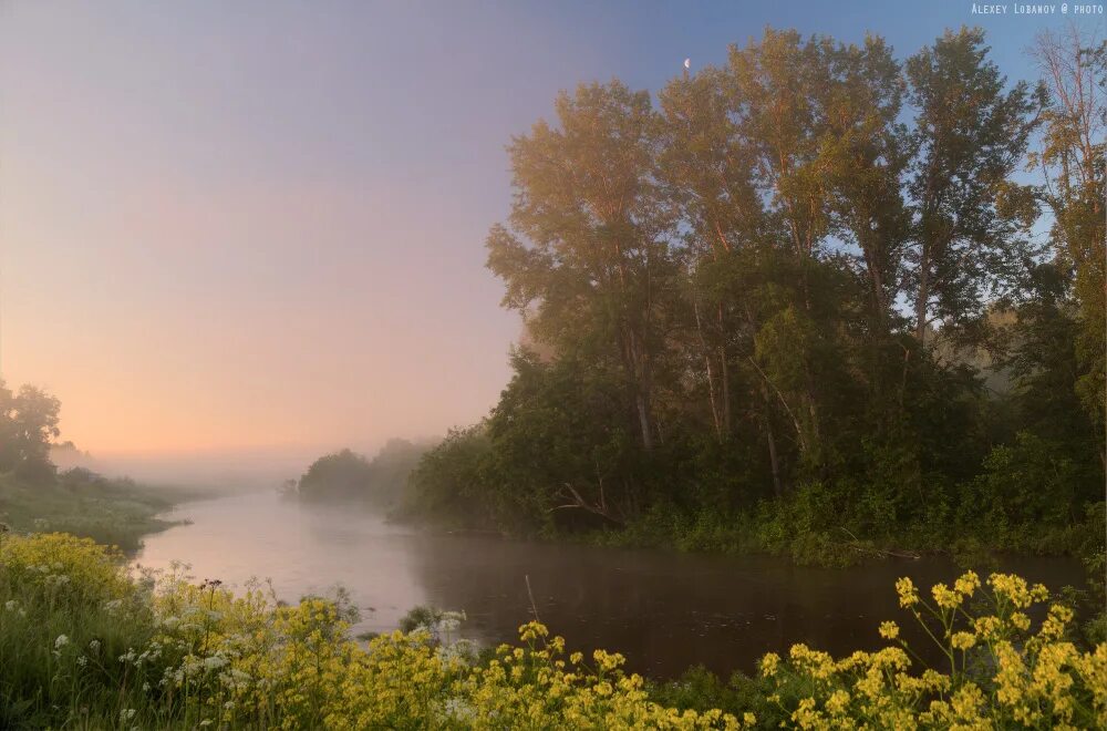 Стояло раннее утро солнце освещало верхушки. Река Соть Ярославская область. Соть пейзаж. Большая река освещенная солнцем.