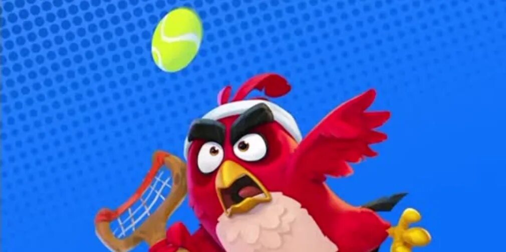 Angry birds tennis. Angry birds теннис. Злые птички в кино тенес. Angry birds теннис. Angry birds blue.