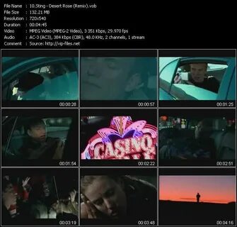Sting enigma desert rose remix cover 2024