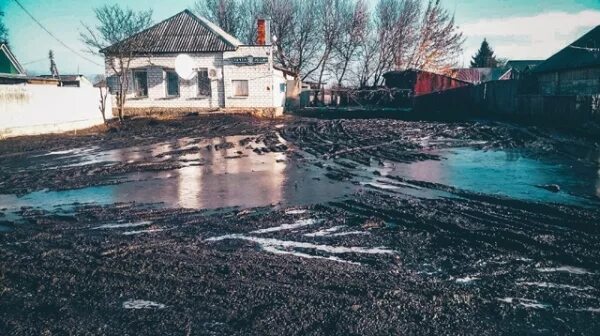 Курский гидрометцентр. Погода в лысьве на 14 дней. Прогноз погоды текст. Курский гидрометцентр. Погода на неделю в сергиевом.