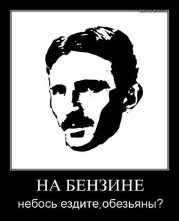 Небось это