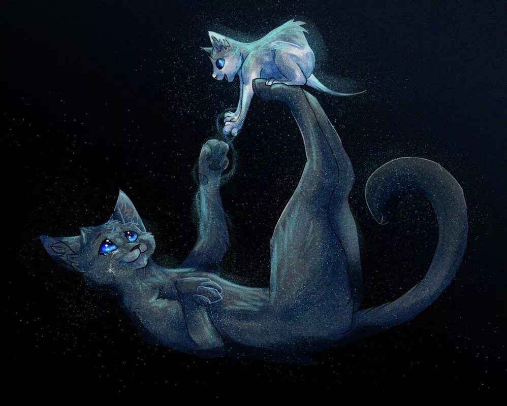 Кошка тонет