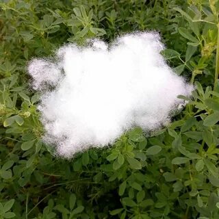 Холлофайбер плюсы