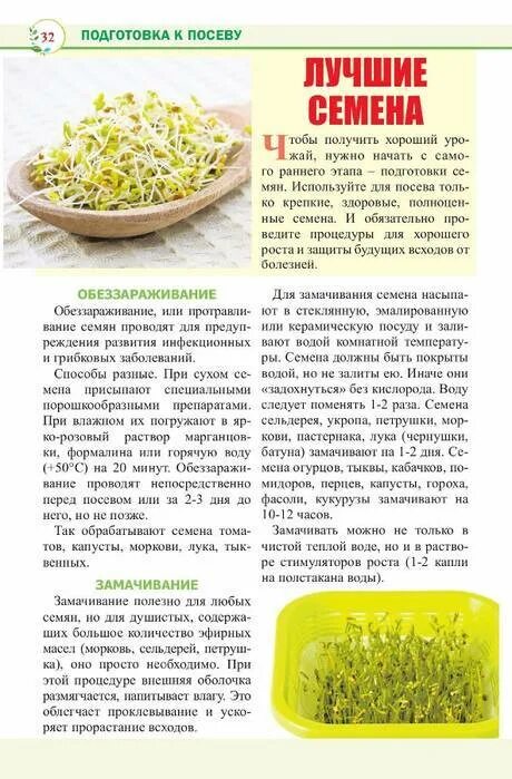 Замачивать ли семя укропа перед посадкой. Замачивать ли семя укропа перед посадкой. Окрашенные семена. Наклюнувшиеся семена моркови. Замочить семена моркови.