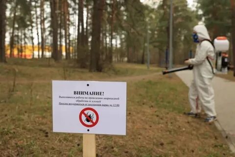 Территория обработана
