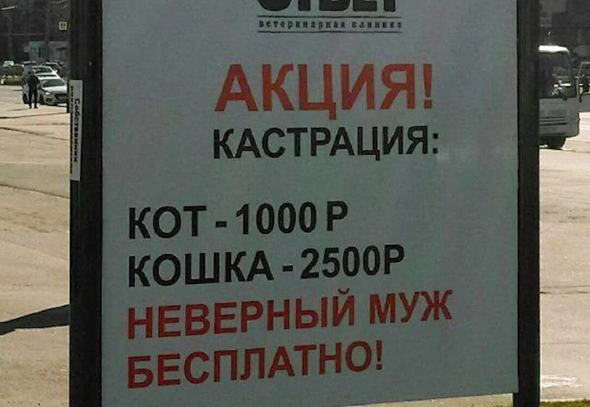 Кросс неверный муж. Акция кастрация. Акция на кастрацию котов. Кастрация кота акция. Акция кастрация реклама.