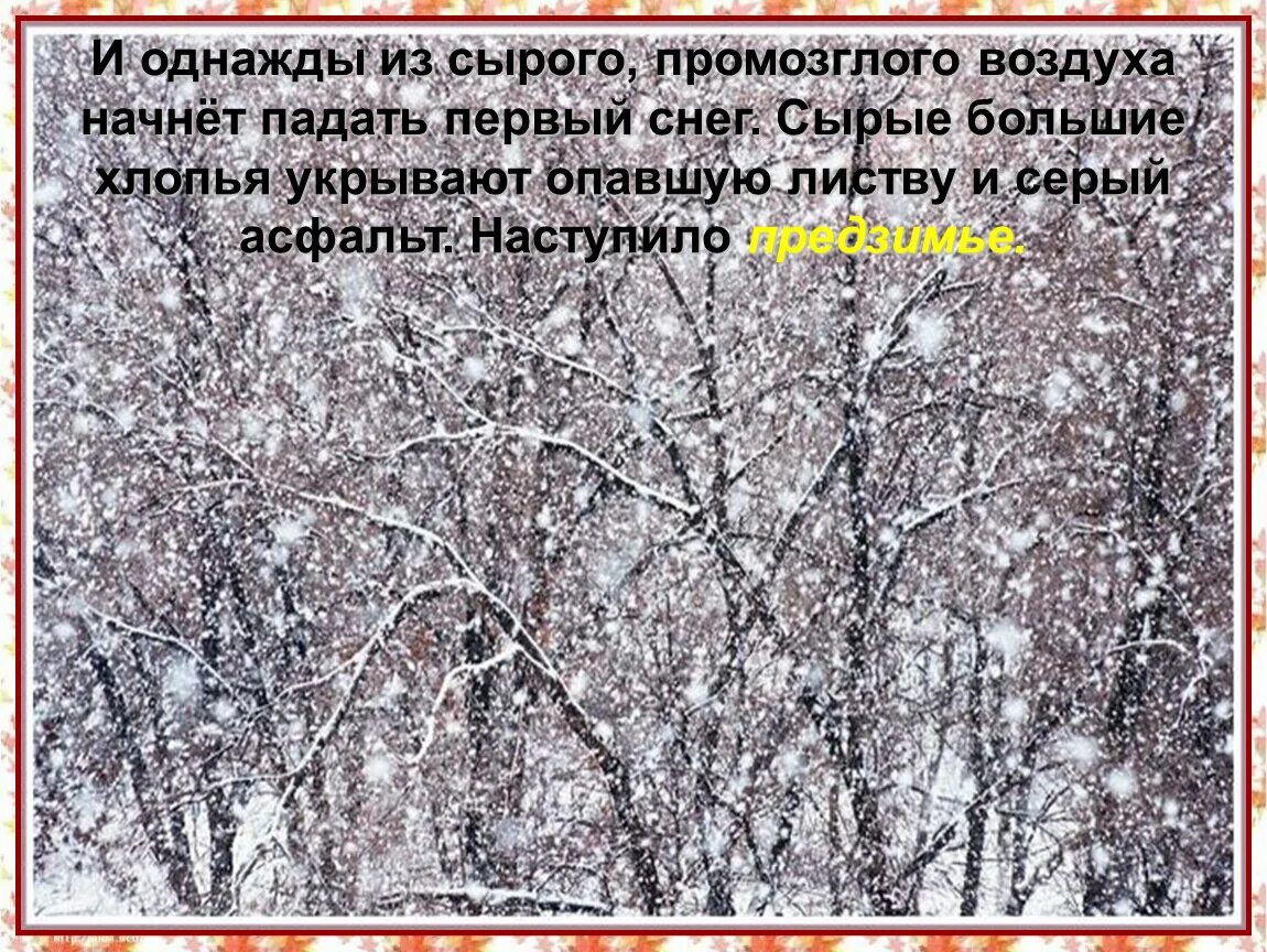 Когда начинает идти первый снег. Предзимье стихи. промозглый снег. предзимье картинки с текстом. первый снег осенью 2 класс окружающий мир.