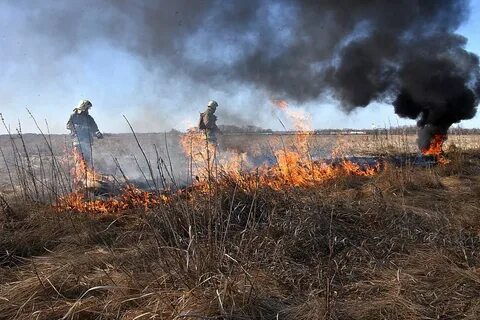 Пожары за последнюю неделю