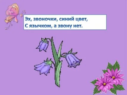 2 загадка цветов