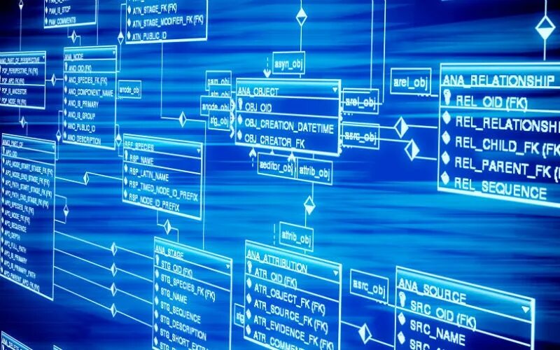 Building a database. Building a database
