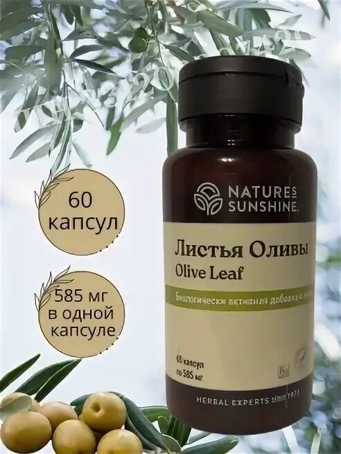 Листья оливы нсп / olive leaf nsp. Листья оливы нсп / olive leaf nsp. Листья оливы нсп. Nsp листья оливы. Люцерна нсп.