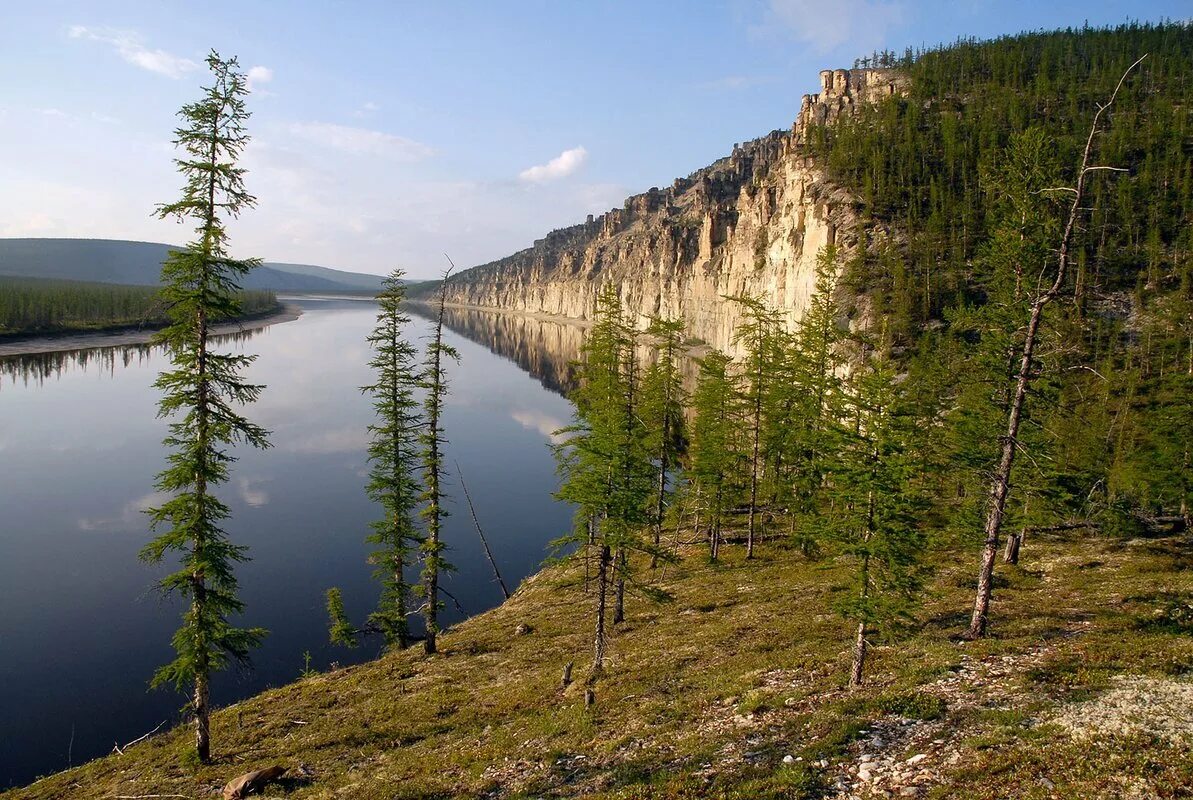 Оленёк (река). Река Оленек Якутия. Река Лена Тайга. Якутия Тайга река Лена.