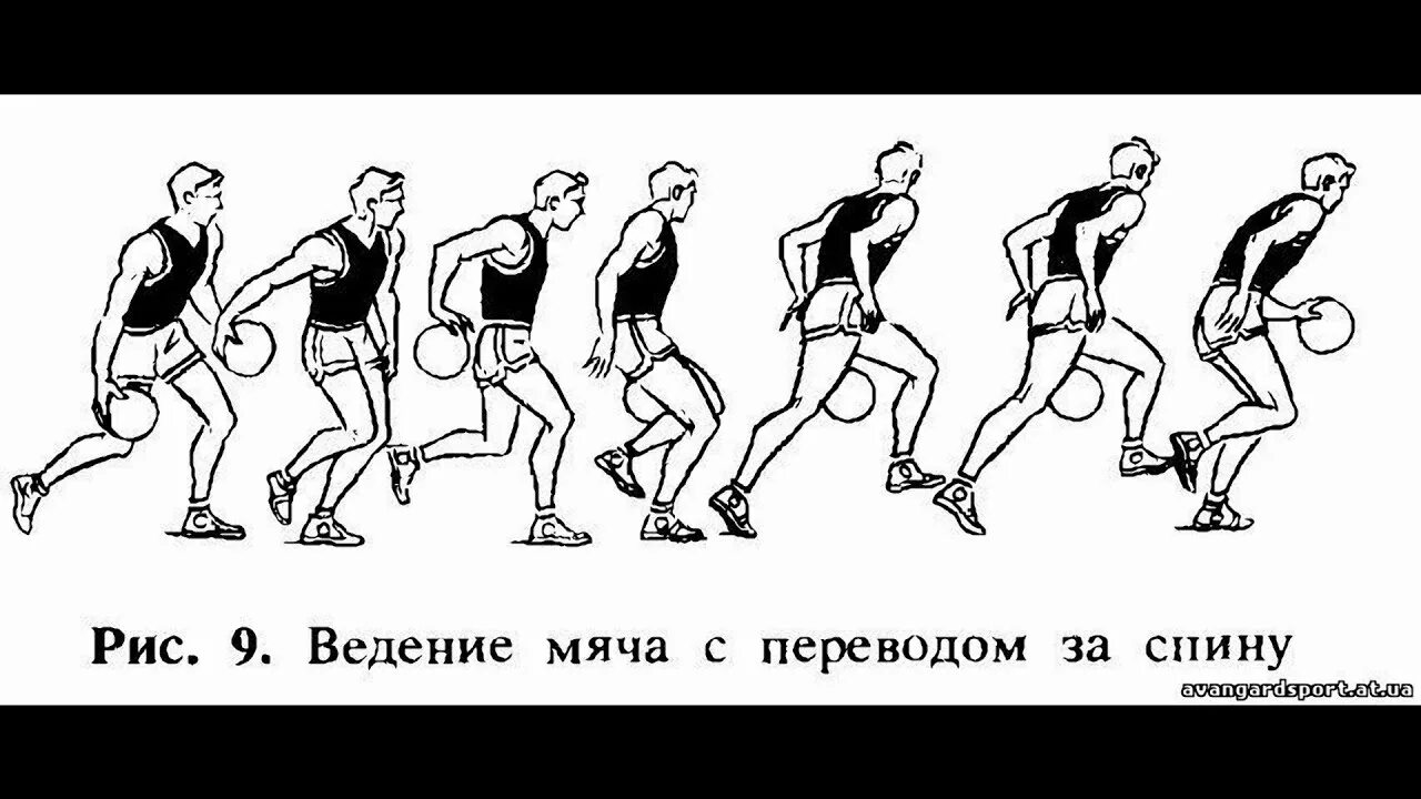 Техника ведения мяча в баскетболе. Ведение мяча в баскетболе переводы. Техника ведения мяча одной рукой в баскетболе. Техника ведения мяча с переводом за спину в баскетболе. Ведение мяча бегом