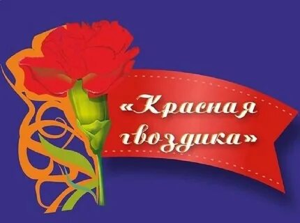 Красная гвоздика патриотическая песня