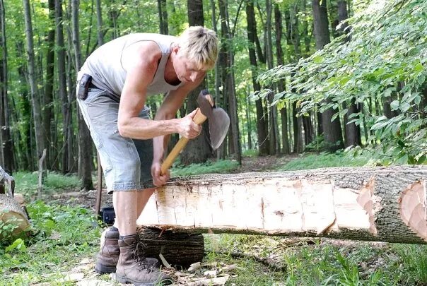 топор в пеньке. бригада лесорубов. заготовитель занятый топорной работой. заготовка дров. обработка древесины топором.