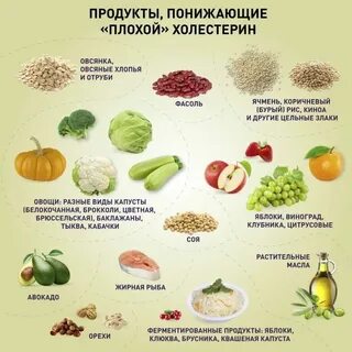 Какие орехи понижают холестерин