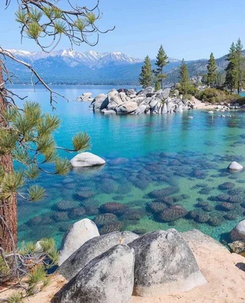 A Midcentury Lake Tahoe Mansion Where Frank Sinatra Used to Hang Out Asks $25.75