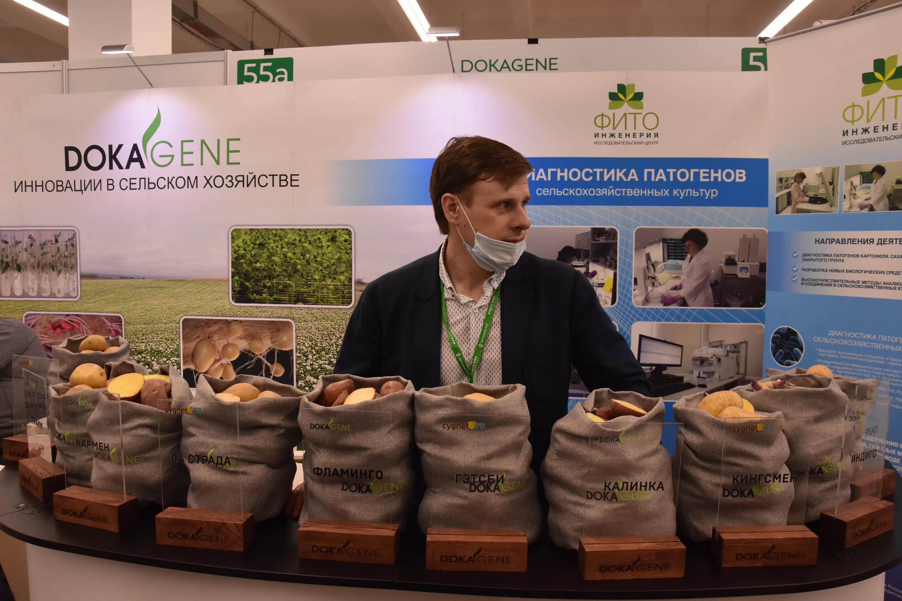 картофель 2023. выставка картофеля в чебоксарах. выставка картофеля в чебоксарах. картофель 2021 чебоксары. выставка картофеля в чебоксарах.