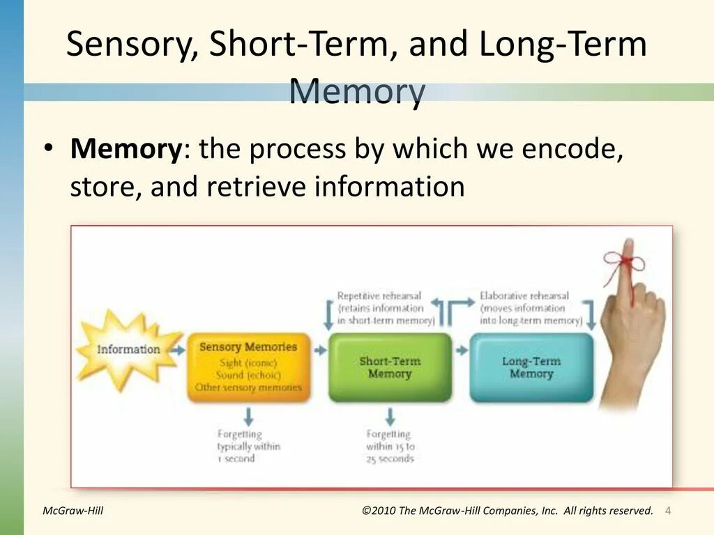 Short memory. Short-term Memory, and long-term Memory. Long short term Memory. Short Memory long Memory. What is the long term Memory.