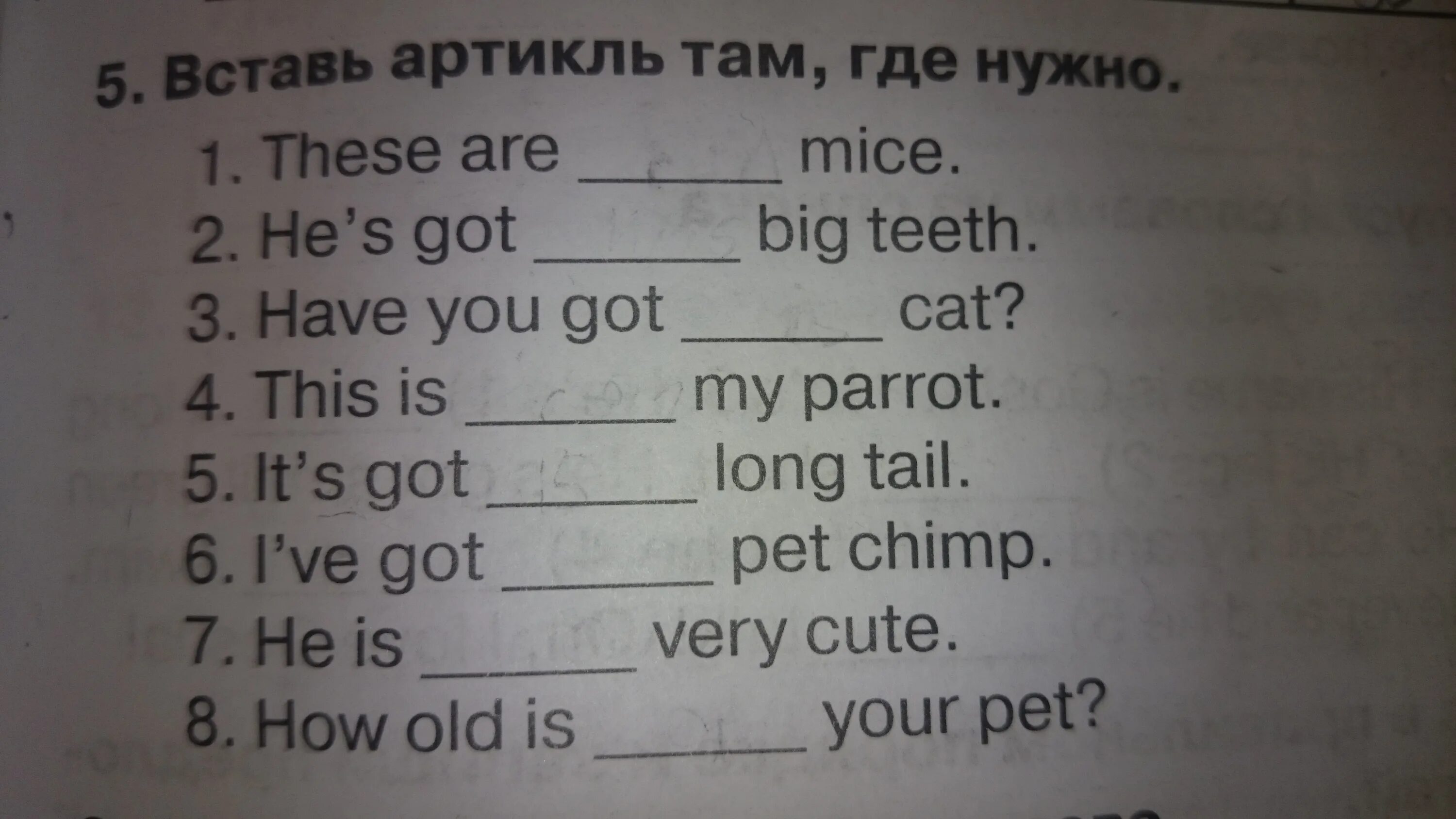 Вставь артикль a/an. Задания с артиклями по английскому. Вставить артикли в английском языке. Упражнения по артиклям английского языка. Английский сборник 2 класс страница 100