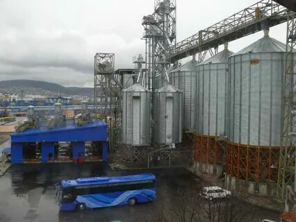 Зерно в новороссийске