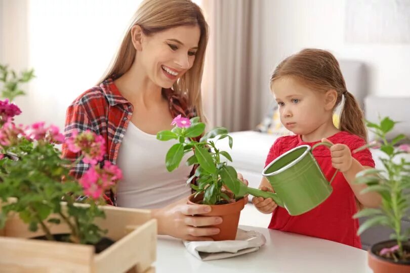 забота о домашних животных. забота о детях. уход за детьми и домашними. уход за детьми и домашними. уход за детьми и домашними.