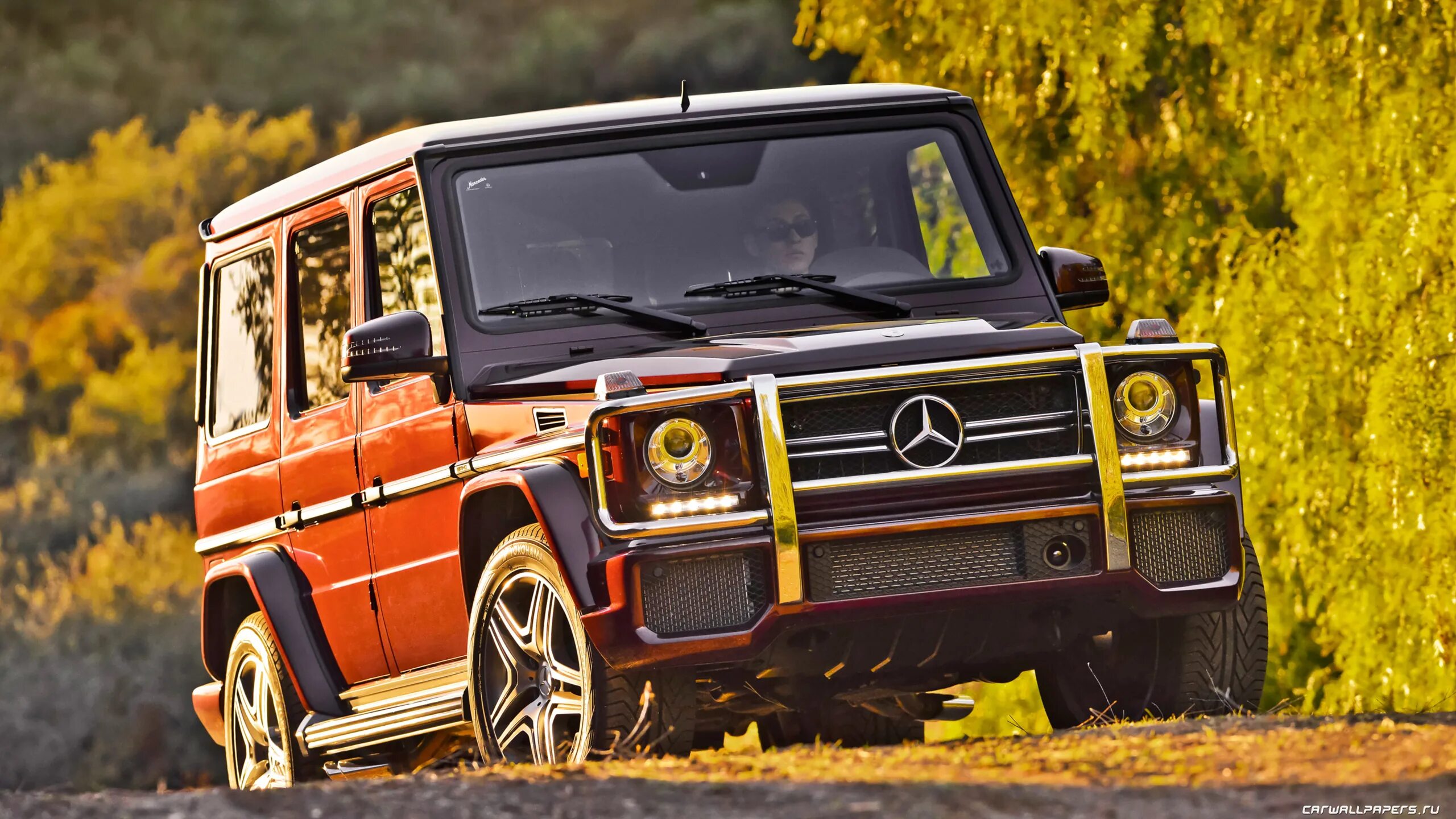 Мерседес джи 63. Mercedes Benz g63. Mercedes Benz g63 AMG. Мерседес Benz g63 АМГ. Mercedes Benz g class AMG 63.