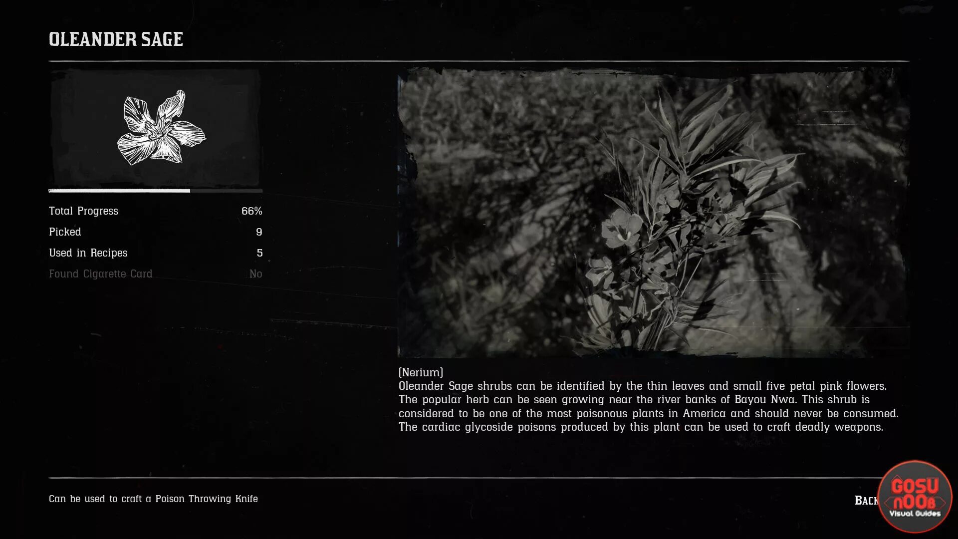 Олеандр рдр 2. Rdr 2 олеандр. растение олеандр рдр 2. где найти олеандр в рдр 2. red dead redemption 2 олеандр.