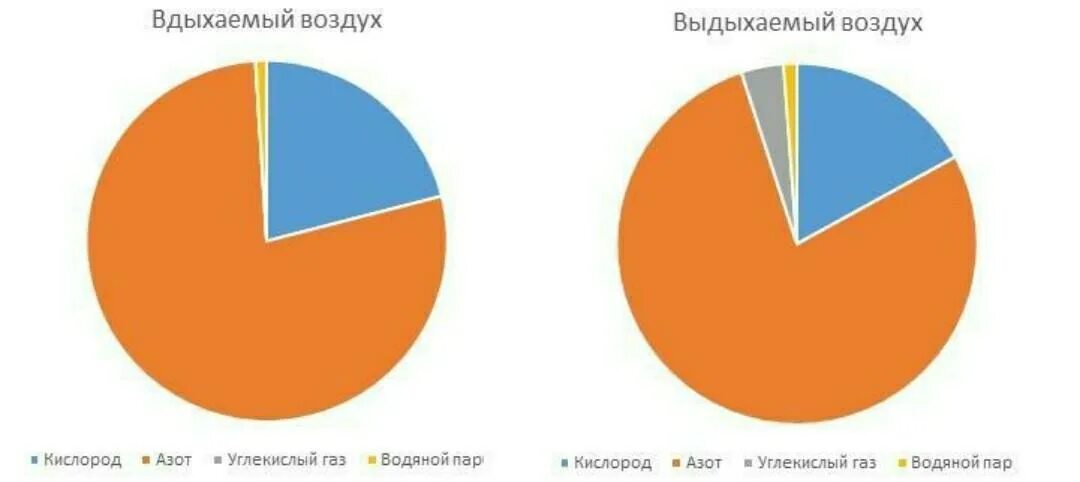 Диаграмма вдыхаемого и выдыхаемого воздуха. Круговая диаграмма вдыхаемого и выдыхаемого воздуха. Состав вдыхаемого и выдыхаемого воздуха диаграмма. Состав воздуха диаграмма.