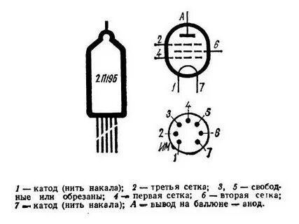 19 п 2