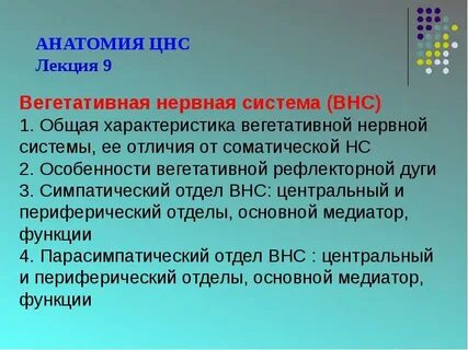 Вегетативные свойства